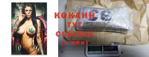 Альфа ПВП Гусь-Хрустальный