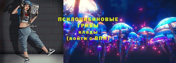 спайс Гусев