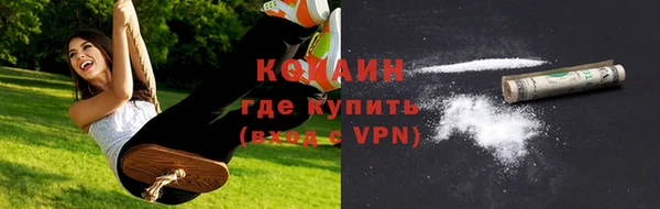Альфа ПВП Гусь-Хрустальный