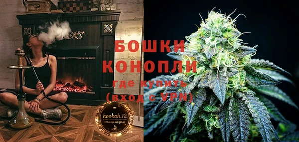 спайс Гусев