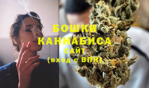 Альфа ПВП Гусь-Хрустальный
