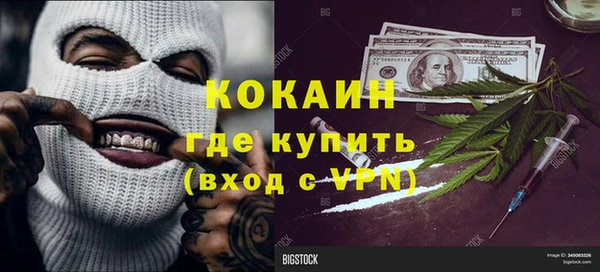 спайс Гусев