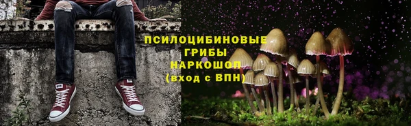 Альфа ПВП Гусь-Хрустальный