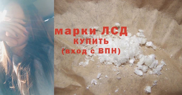 спайс Гусев