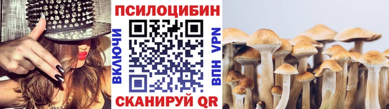 Псилоцибиновые грибы мицелий  Купить  Кашира 